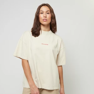 REYNA HEAVY OVERSIZED TEE, marki PegadorApparel, w kolorze Beż, rozmiar