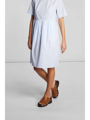 Rich & Royal Sukienka w kolorze błękitno-białym rozmiar: 38