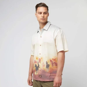 Dickies Running Wild Shortsleeve Shirt mężczyźni Koszule wielokolorowy rozmiar Odzież