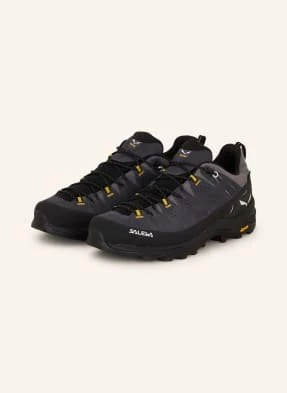 Salewa Buty Wielofunkcyjne Alp Trainer 2 Gtx grau