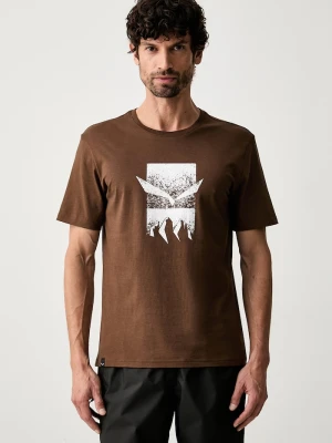 Salewa T-shirt trekkingowy męski z bawełną Eagle 3cime brązowy