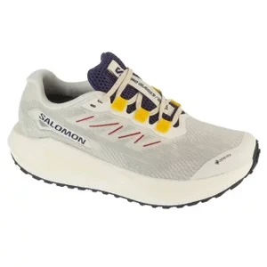 Salomon Aero Blaze 3 Grvl GTX W L47974100, Damskie, Szare, buty do biegania, tkanina, rozmiar: 38