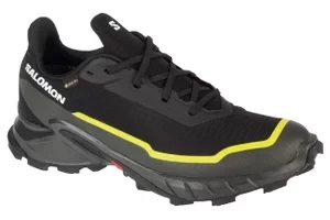 Salomon Alphacross 5 GTX 474604, Męskie, Czarne, buty do biegania, tkanina, rozmiar: 45 1/3