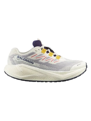 SALOMON Buty "Aero Blaze 3 GRVL GTX" w kolorze beżowo-szarym do biegania rozmiar: 38