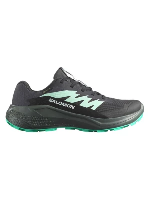 SALOMON Buty "Alphaglide GTX" w kolorze antracytowym do biegania rozmiar: 42