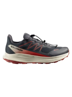 SALOMON Buty "ALPHARIDE 2 GORE-TEX" w kolorze antracytowym do biegania rozmiar: 49
