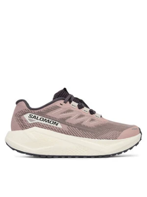 Salomon Buty do biegania Aero Blaze 3 Grvl W L49218000 Beżowy