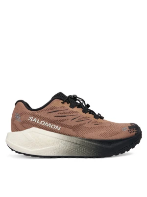 Salomon Buty do biegania Aero Blaze 4 L45400500 Brązowy