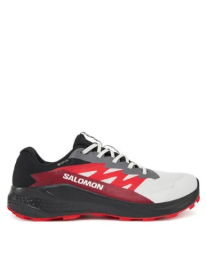 Salomon Buty do biegania Alphaglide Gore-Tex L47802200 Szary