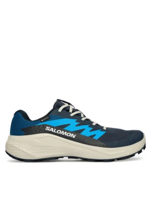 Salomon Buty do biegania Alphaglide Gtx L47975100 Niebieski