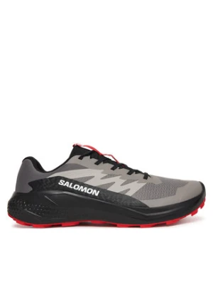 Salomon Buty do biegania Alphaglide L48000800 Szary