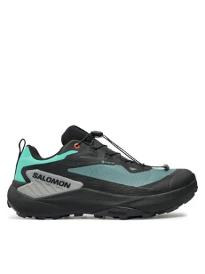 Salomon Buty do biegania Genesis Gore-Tex L47688300 Szary