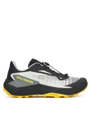 Salomon Buty do biegania Genesis L47978100 Szary