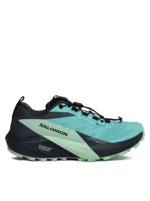 Salomon Buty do biegania Sense Ride 5 Gore-Tex L47216000 Niebieski