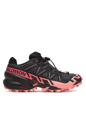 Salomon Buty do biegania Speedcross 6 Gore-Tex L47880400 Szary