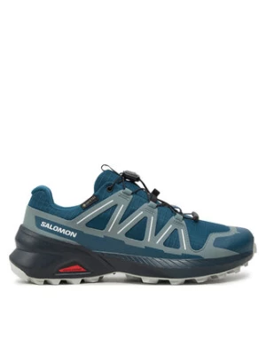 Salomon Buty do biegania Speedcross Peak Gore-Tex L47604000 Czarny