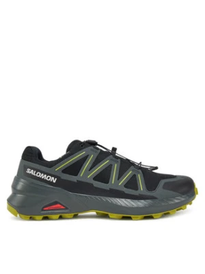 Salomon Buty do biegania Speedcross Peak Gore-Tex L47790500 Czarny