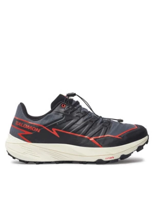 Salomon Buty do biegania Thundercross Gore-Tex L47684500 Szary