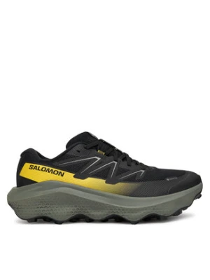 Salomon Buty do biegania Ultra Flow 2 Gore-Tex L47883200 Czarny