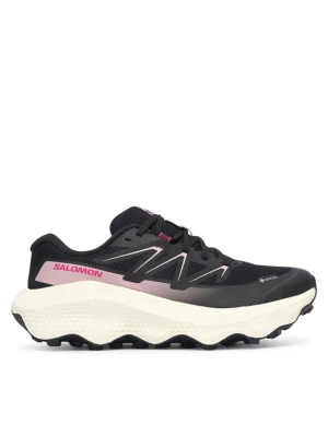 Salomon Buty do biegania Ultra Flow 2 Gtx W GORE-TEX L49299500 Czarny