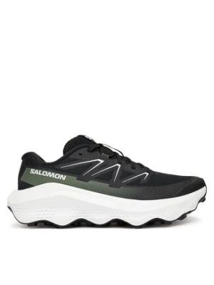 Salomon Buty do biegania Ultra Flow 2 L47883500 Czarny