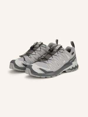 Salomon Buty Do Biegania W Terenie Xa Pro 3d v9 Gtx grau