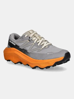 Salomon buty ULTRA FLOW 2 GTX kolor szary L47884200