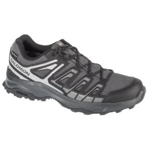 Salomon Extegra GTX L47768800, Męskie, Szare, buty trekkingowe, tkanina, rozmiar: 42 2 / 3