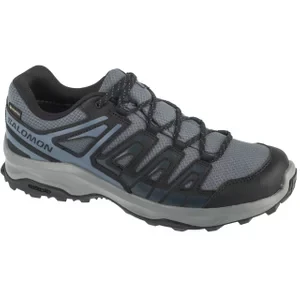 Salomon Extegra GTX W L47800000, Damskie, Szare, buty trekkingowe, tkanina, rozmiar: 40 2/3