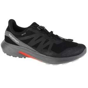 Salomon Hypulse GTX 415959, Męskie, Czarne, buty do biegania, przewiewna siateczka, rozmiar: 48