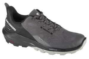 Salomon OUTpulse Gtx 415878, Męskie, Szare, buty trekkingowe, tkanina, rozmiar: 42