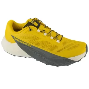 Salomon Pulsar L47973200, Męskie, Żółte, buty do biegania, tkanina, rozmiar: 41 1/3