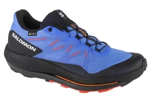 Salomon Pulsar Trail GTX 416080, Męskie, Granatowe, buty do biegania, tkanina, rozmiar: 44 2/3