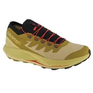 Salomon Pulsar Trail-Pro 415936, Męskie, Zielone, buty do biegania, tkanina, rozmiar: 40 2/3