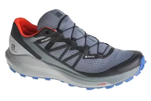 Salomon Sense Ride 4 GTX 413778, Męskie, Szare, buty do biegania, tkanina, rozmiar: 46