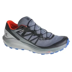 Salomon Sense Ride 4 GTX 413778, Męskie, Szare, buty do biegania, tkanina, rozmiar: 46