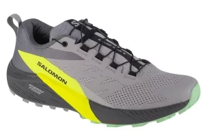 Salomon Sense Ride 5 471442, Męskie, Szare, buty do biegania, tkanina, rozmiar: 41 1/3