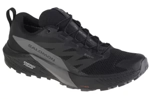 Salomon Sense Ride 5 GTX 471472, Męskie, Czarne, buty do biegania, tkanina, rozmiar: 41 1/3