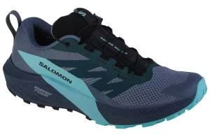 Salomon Sense Ride 5 GTX 471474, Męskie, Niebieskie, buty do biegania, tkanina, rozmiar: 44