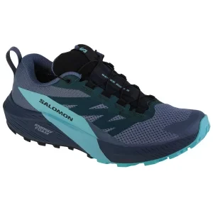 Salomon Sense Ride 5 GTX 471474, Męskie, Niebieskie, buty do biegania, tkanina, rozmiar: 44