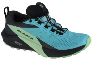 Salomon Sense Ride 5 GTX W 472160, Damskie, Niebieskie, buty do biegania, tkanina, rozmiar: 37 1/3