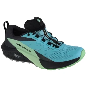 Salomon Sense Ride 5 GTX W 472160, Damskie, Niebieskie, buty do biegania, tkanina, rozmiar: 37 1/3