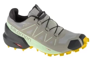 Salomon Speedcross 5 GTX W 416128, Damskie, Szare, buty do biegania, tkanina, rozmiar: 36 2/3