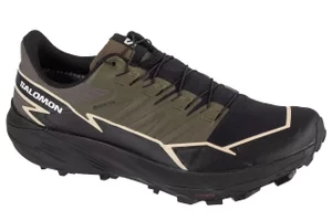 Salomon Thundercross GTX 473834, Męskie, Zielone, buty do biegania, tkanina, rozmiar: 42