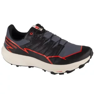 Salomon Thundercross GTX 476845, Męskie, Szare, buty do biegania, tkanina, rozmiar: 42