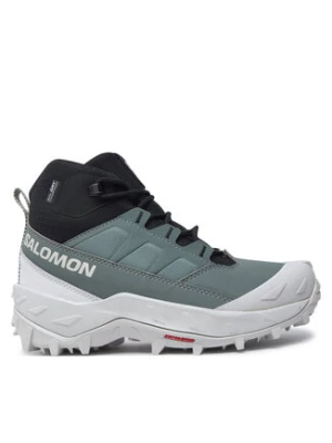 Salomon Trekkingi Crosstrak Waterproof L47570400 Zielony