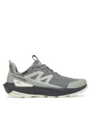 Salomon Trekkingi Elixir Activ Gore-Tex L47757800 Szary