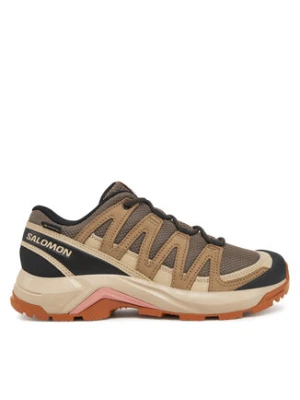 Salomon Trekkingi X-Adventure Recon Gore Tex L47815500 Brązowy