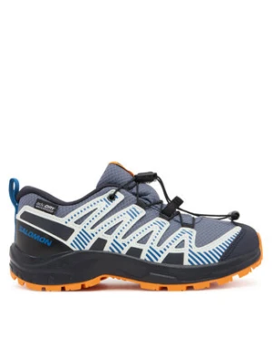 Salomon Trekkingi Xa Pro V8 Waterproof L47857000 Szary