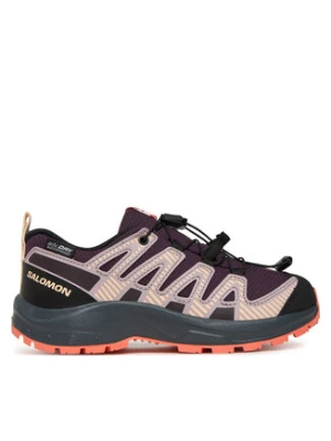 Salomon Trekkingi Xa Pro V8 Waterproof L47857100 Fioletowy